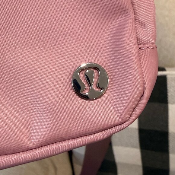 Everywhere Crossbody Bag 2L Metal Hardware in Rose Blush/Silver - Picture 5 of 6